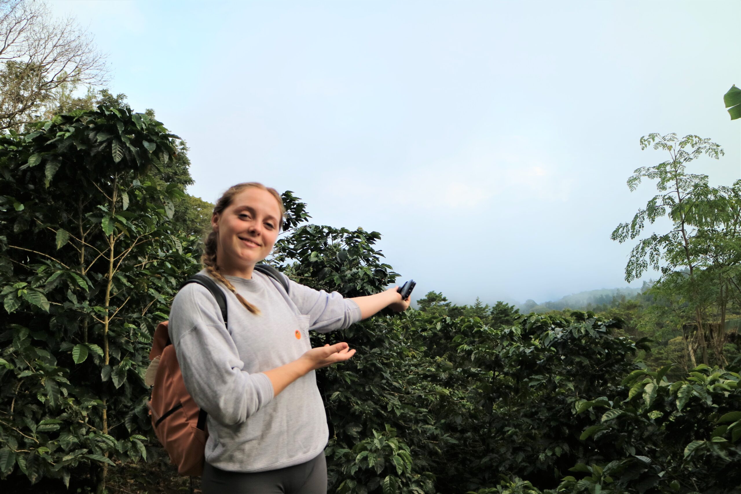coffee_tour_monteverde