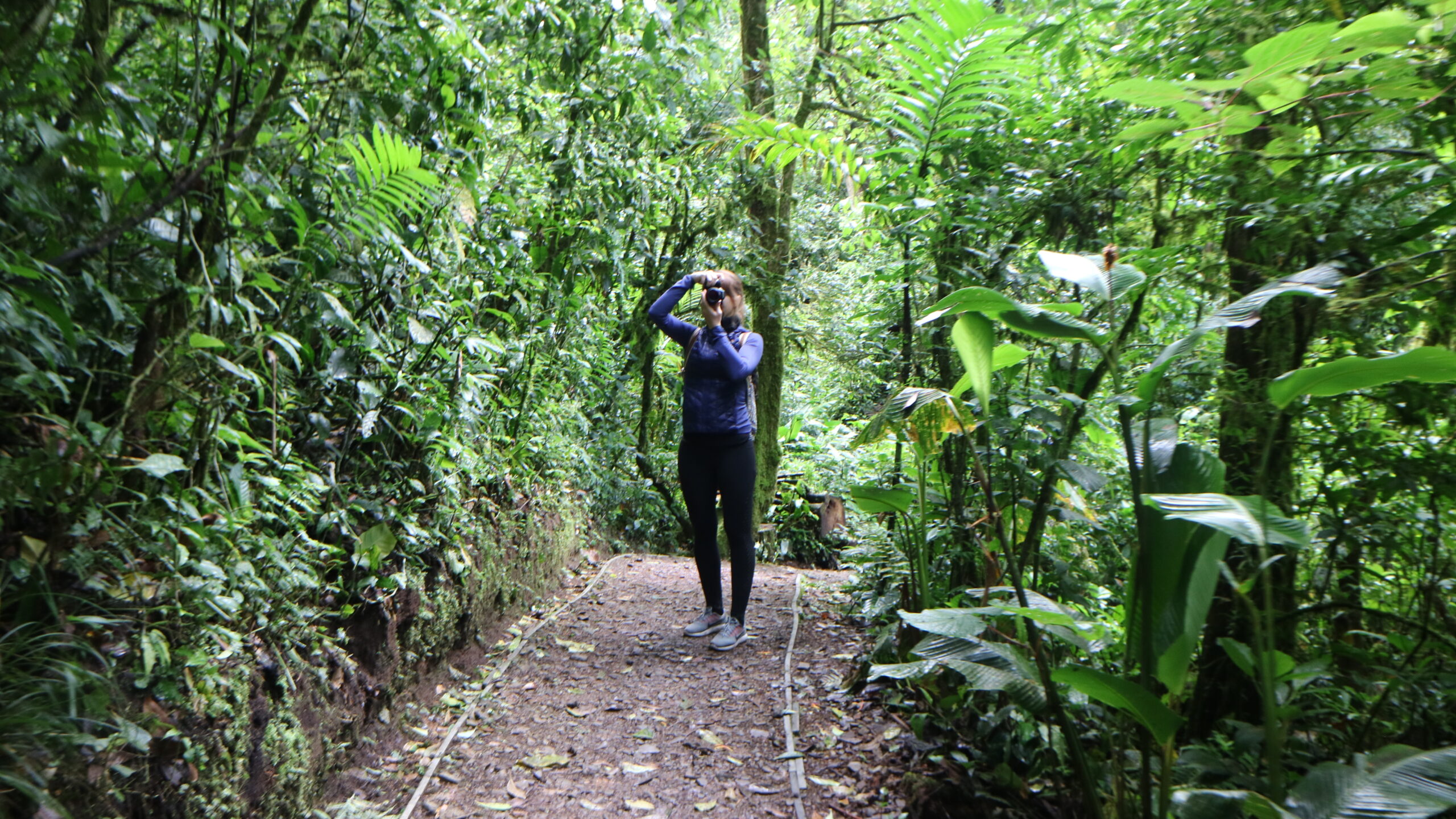 hiking_monteverde