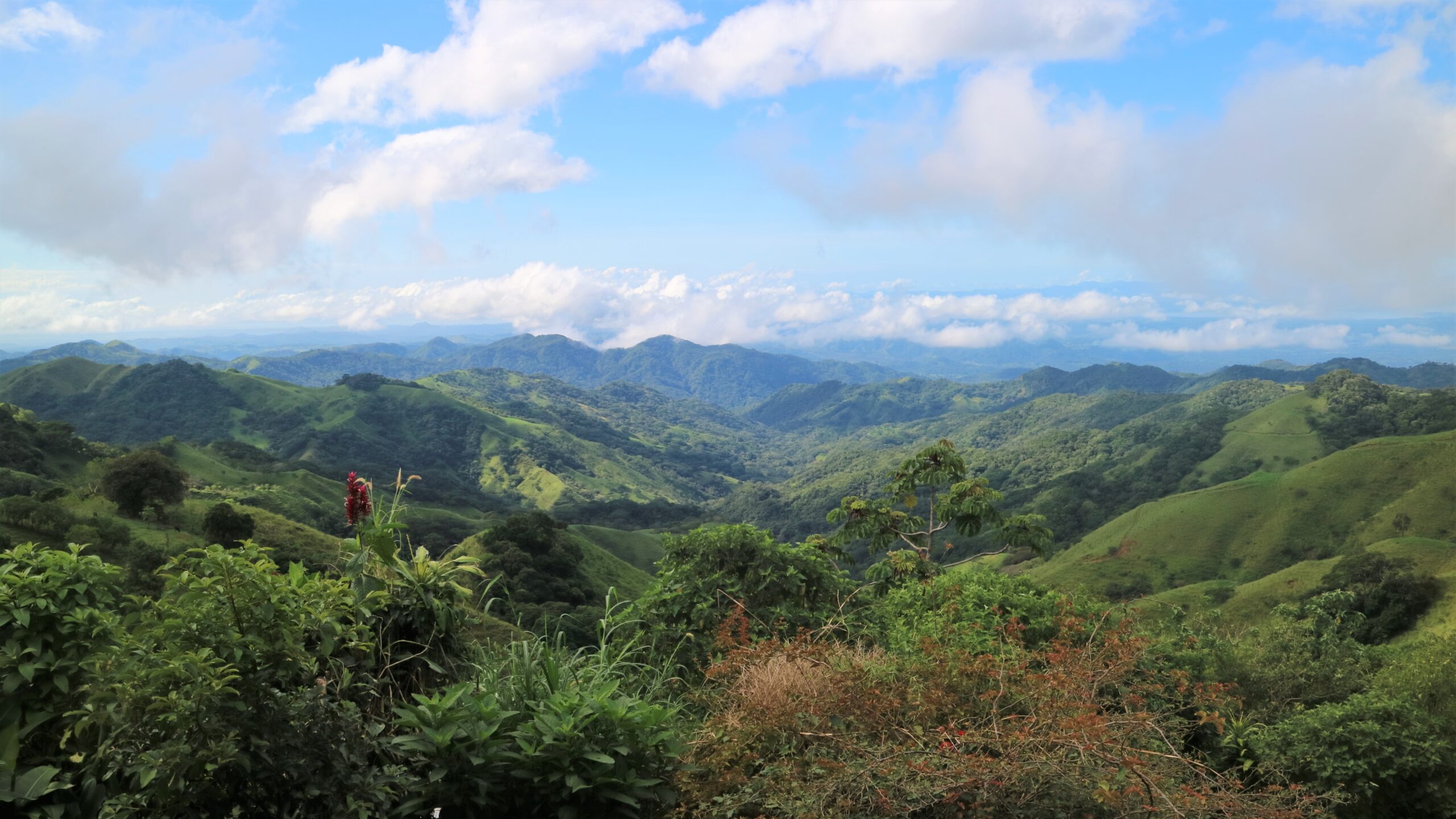monteverde_views